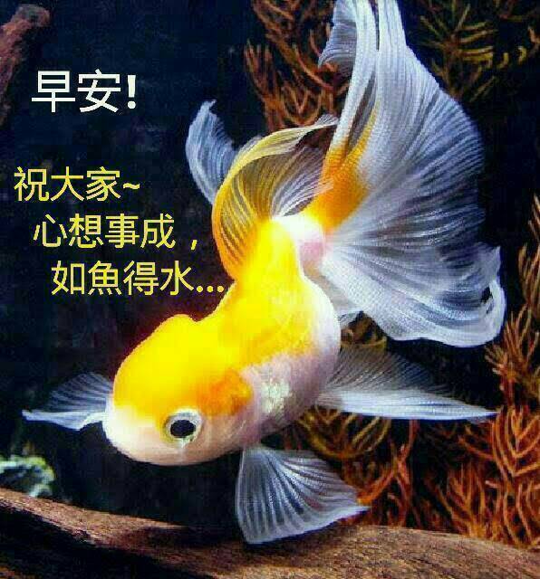 按我可連結至更清楚的圖片